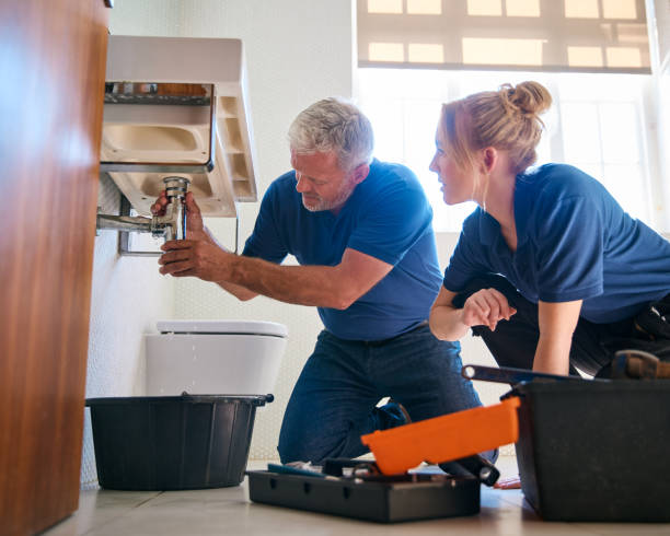 Professional Plumbing in Oldsmar, FL